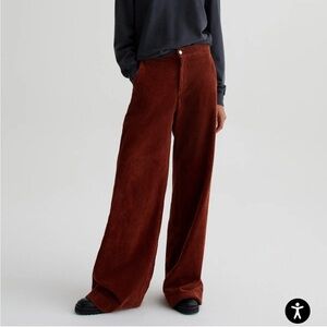 NWT Agolde Tailored Deven